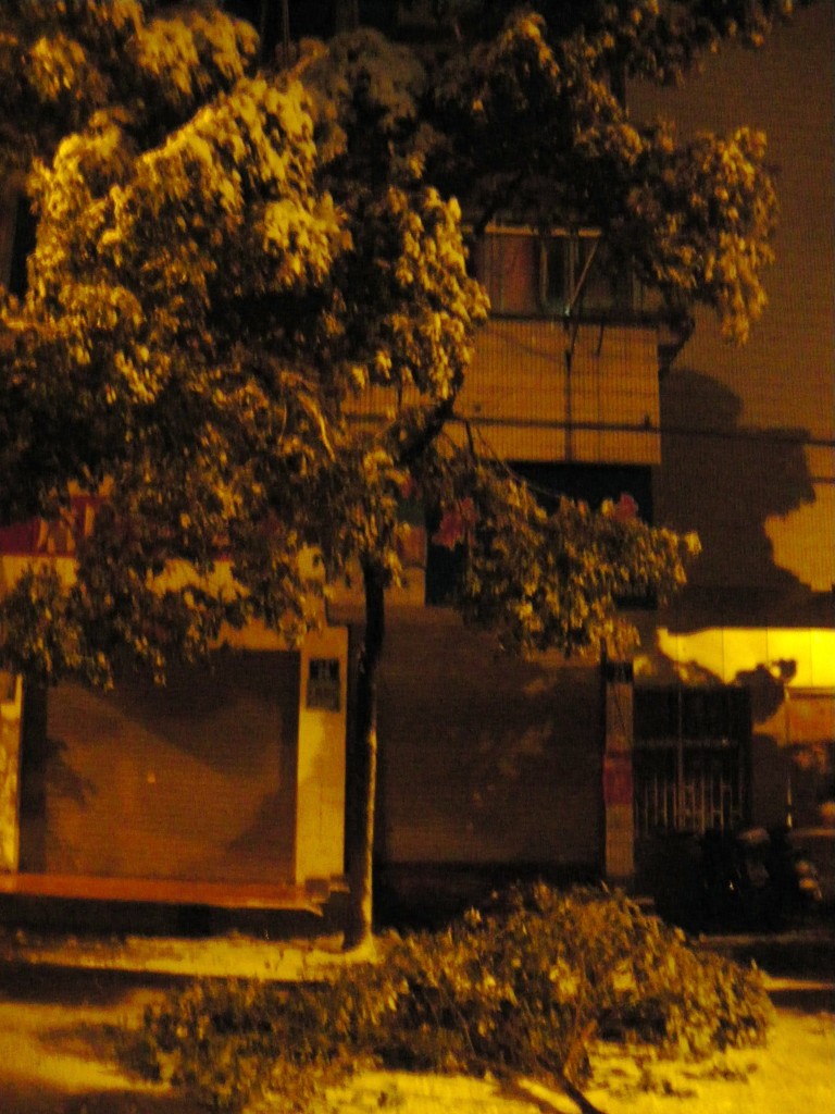 小雪 の掲示板投稿写真＆画像